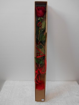 Elegantní 1 růže v krabičce s víčkem